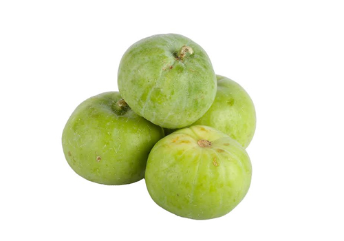 Fresh Bottle Gourd Exporter from alappuzha kerala